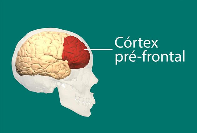 Você Conhece os Efeitos Placebo do Desejo?