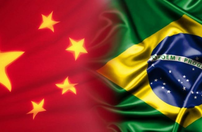 Projeto Importador Profissional Vale a Pena?