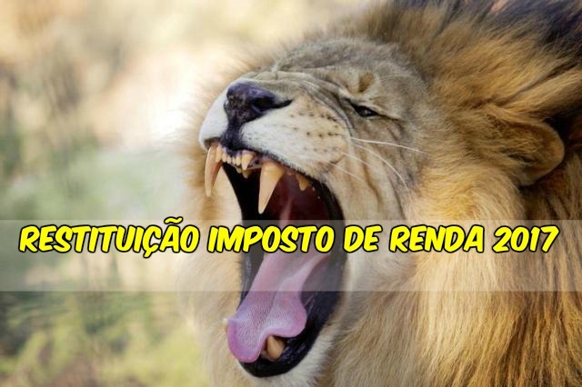 Restituição Imposto de Renda 2017