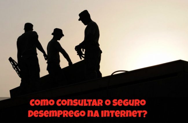 Como Consultar o Seguro Desemprego pela Internet?