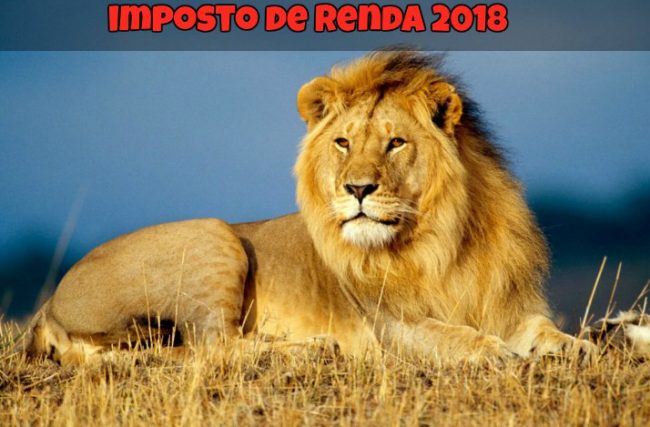 Imposto de Renda 2019 – Todas as Informações