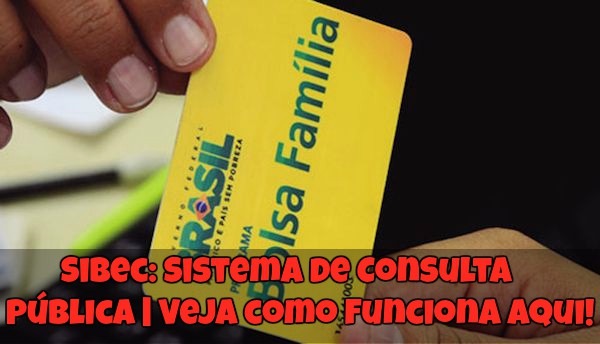 Sibec: Sistema de Consulta Pública