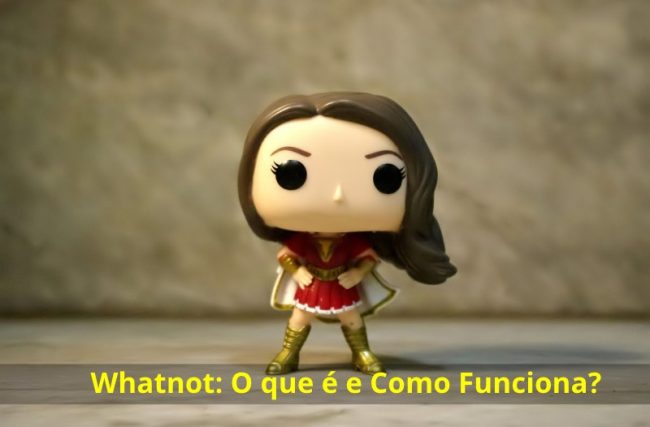 Whatnot: O que é e Como Funciona?